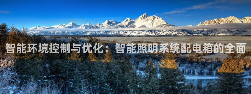 智能环境控制与优化：智能照明系统配电箱的全面