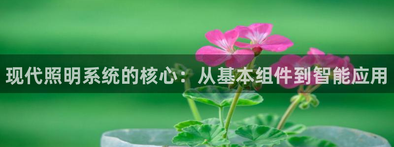 现代照明系统的核心：从基本组件到智能应用