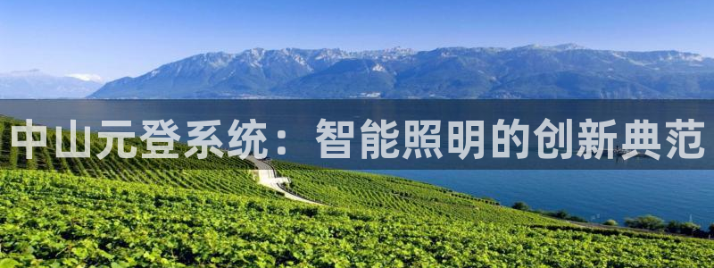 中山元登系统：智能照明的创新典范