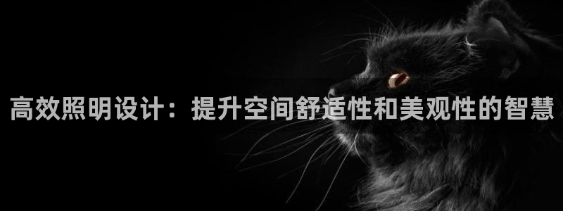 高效照明设计：提升空间舒适性和美观性的智慧