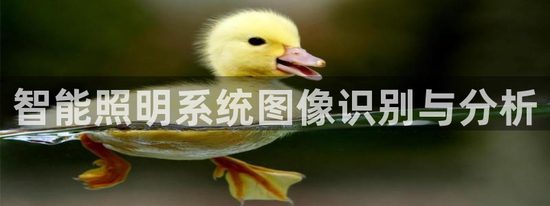 智能照明系统图像识别与分析