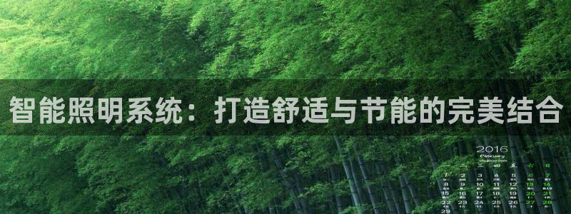 智能照明系统：打造舒适与节能的完美结合