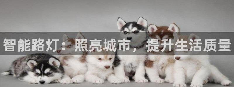 智能路灯：照亮城市，提升生活质量
