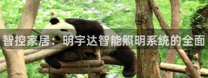 智控家居：明宇达智能照明系统的全面