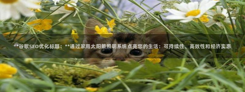 **谷歌SEO优化标题：**通过家用太阳能照明系统点亮您的生活：可持续性、高效性和经济实惠