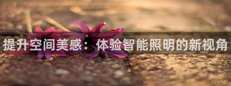 提升空间美感：体验智能照明的新视角