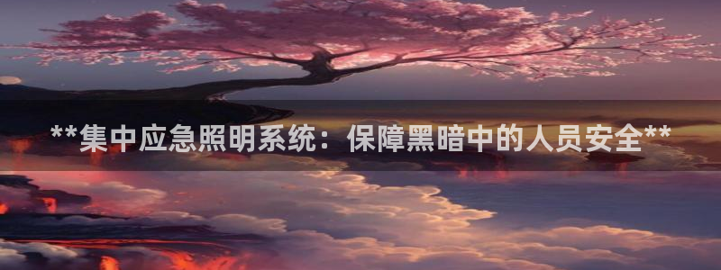 **集中应急照明系统：保障黑暗中的人员安全**