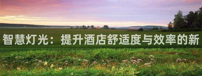 智慧灯光：提升酒店舒适度与效率的新