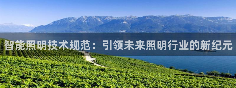 智能照明技术规范：引领未来照明行业的新纪元