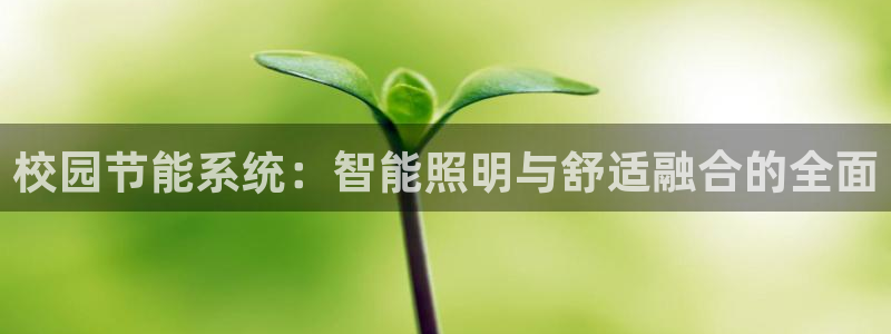 校园节能系统：智能照明与舒适融合的全面