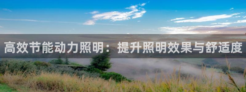 高效节能动力照明：提升照明效果与舒适度