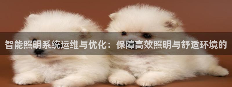 智能照明系统运维与优化：保障高效照明与舒适环境的