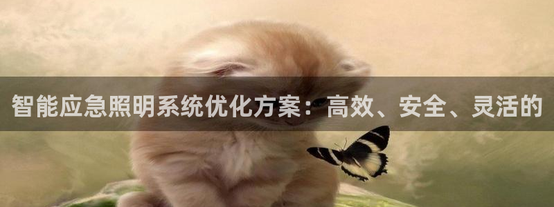 智能应急照明系统优化方案：高效、安全、灵活的