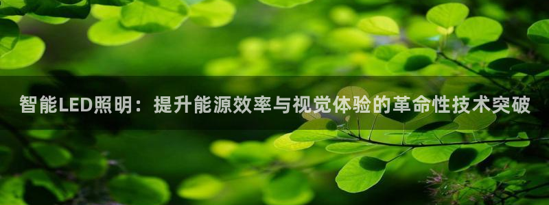 智能LED照明：提升能源效率与视觉体验的革命性技术突破