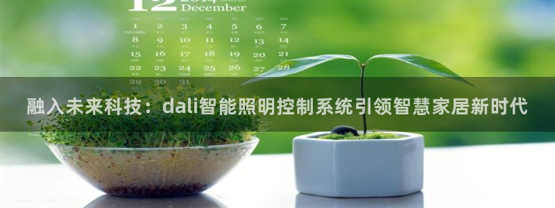 融入未来科技：dali智能照明控制系统引领智慧家居新时代
