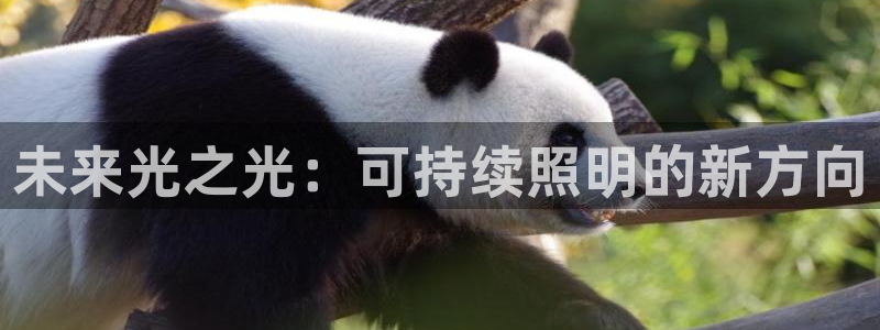 未来光之光：可持续照明的新方向