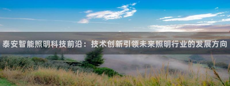 泰安智能照明科技前沿：技术创新引领未来照明行业的发展方向