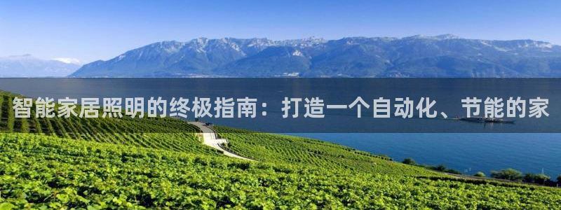 智能家居照明的终极指南：打造一个自动化、节能的家