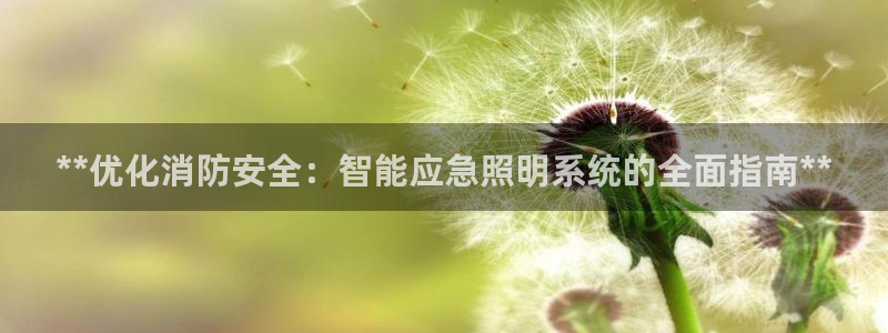 **优化消防安全：智能应急照明系统的全面指南**