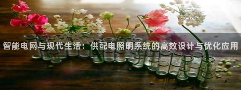智能电网与现代生活：供配电照明系统的高效