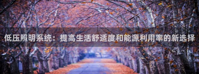 低压照明系统：提高生活舒适度和能源利用率的新选择