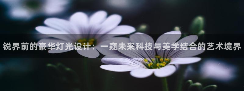 锐界前的豪华灯光设计：一窥未来科技与美学