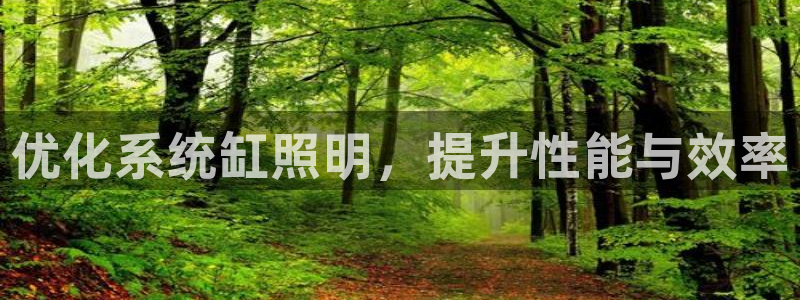 优化系统缸照明，提升性能与效率
