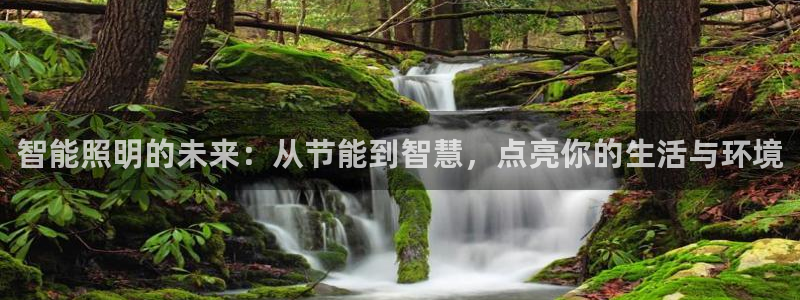 智能照明的未来：从节能到智慧，点亮你的生活与环境