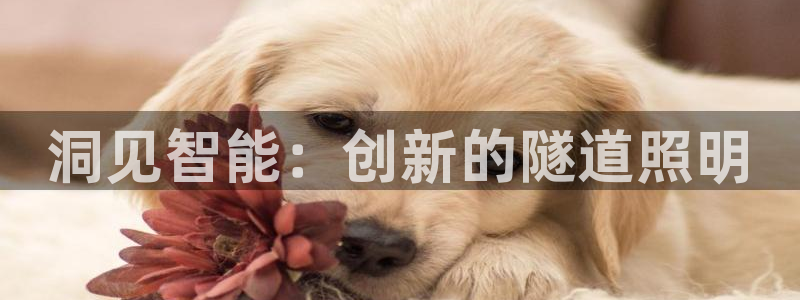 洞见智能：创新的隧道照明